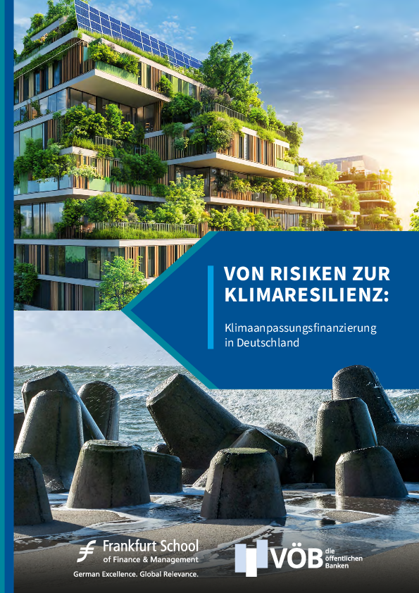 Publikation Anpassungsfinanzierung